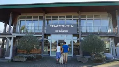 Neues Tierärztezentrum Bergheim ab Herbst 2025