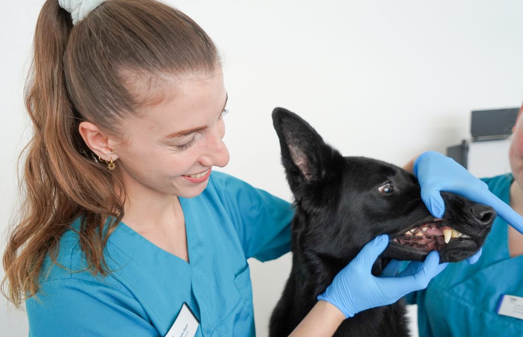 Steuerfachangestellte/r (m/w/d) oder Buchhalter/in (m/w/d)