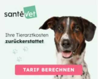 Tierärztezentrum Neuland Bergheim – Tierarzt Bergheim | Kleintiermedizin Hunde & Katzen | SanteVet