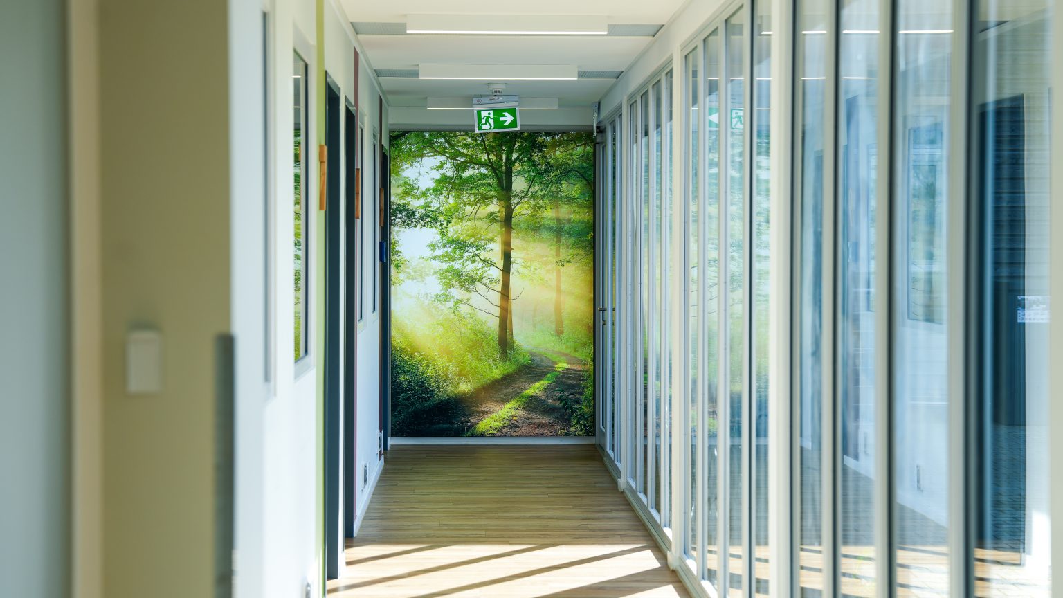 Tierärztezentrum Neuland Bergheim – Impressionen aus der Praxis