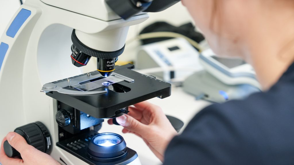 Tierärztin/Tierarzt (m/w/d) für Innere Medizin – FTA, Diplomate oder erfahrene Internistin/erfahrener Internist