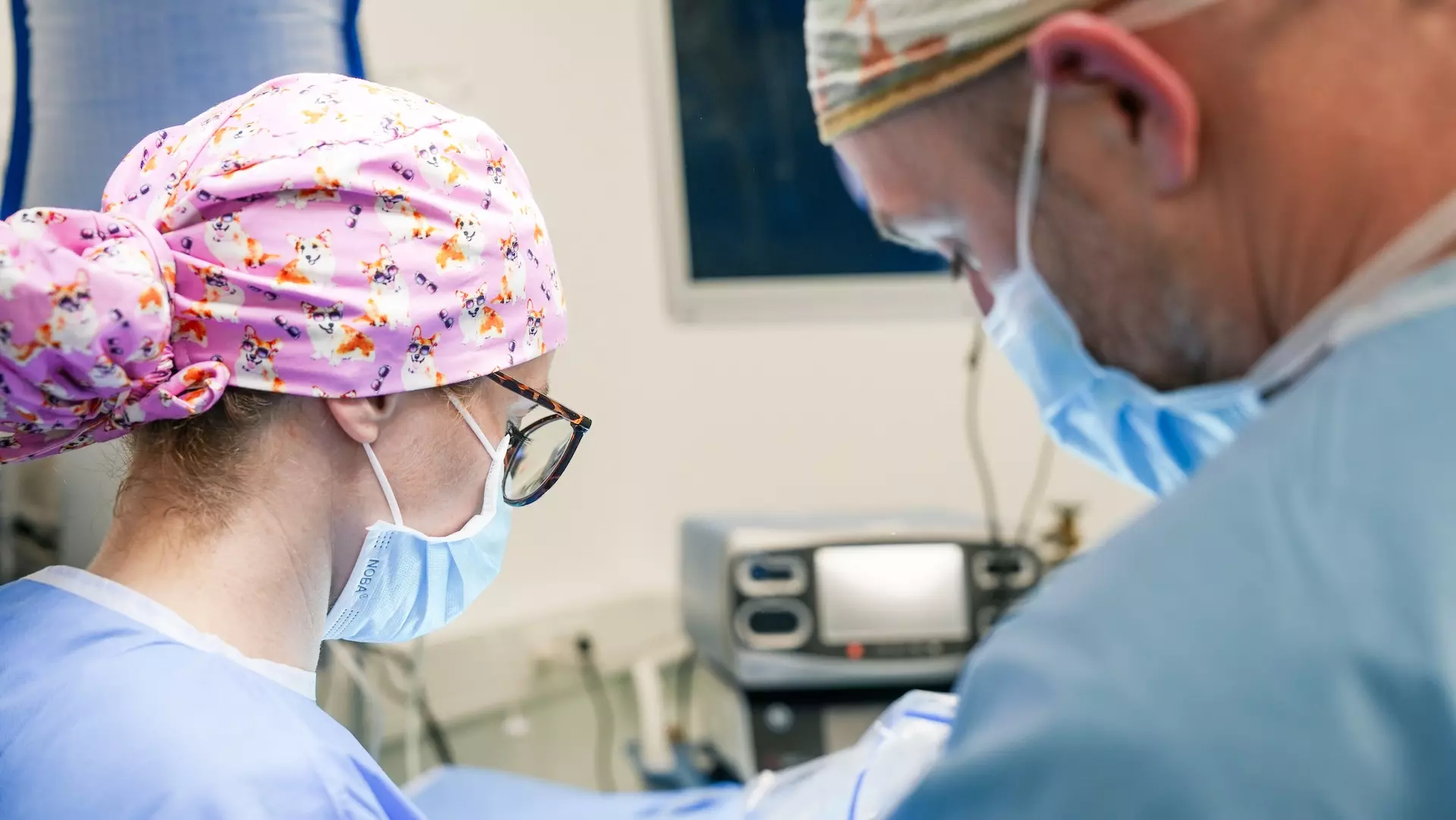 Spezialisiertes chirurgisches Team während einer minimalinvasiven Operation – Tierärztezentrum Neuland Bergheim