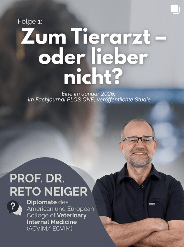 Wann muss ich mit meinem Hund zum Tierarzt? Was eine aktuelle Studie über uns Tierhalterinnen und Tierhalter verrät