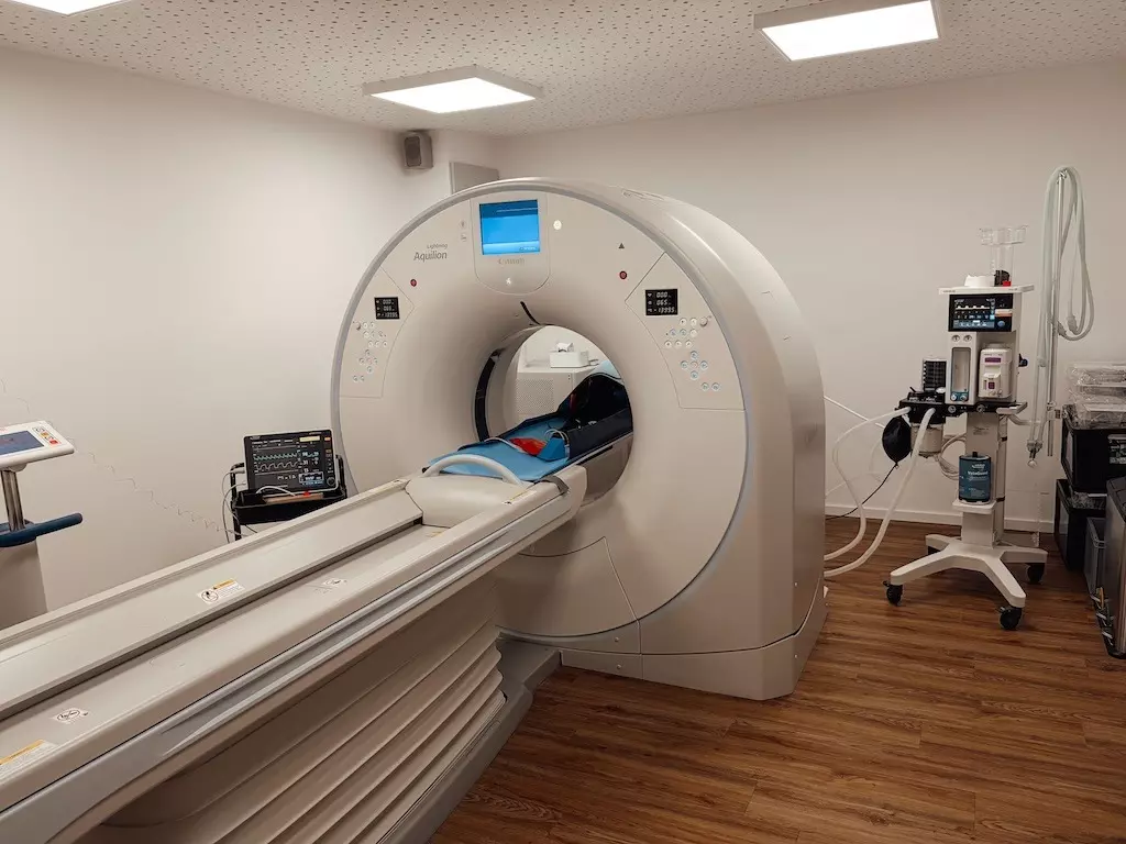 Computertomographie (CT) – Tierarzt Bergheim