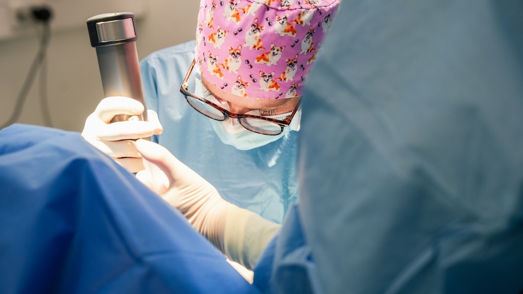 Chirurgie-Team im Einsatz mit modernem Operationsinstrument – Tierärztezentrum Neuland Bergheim