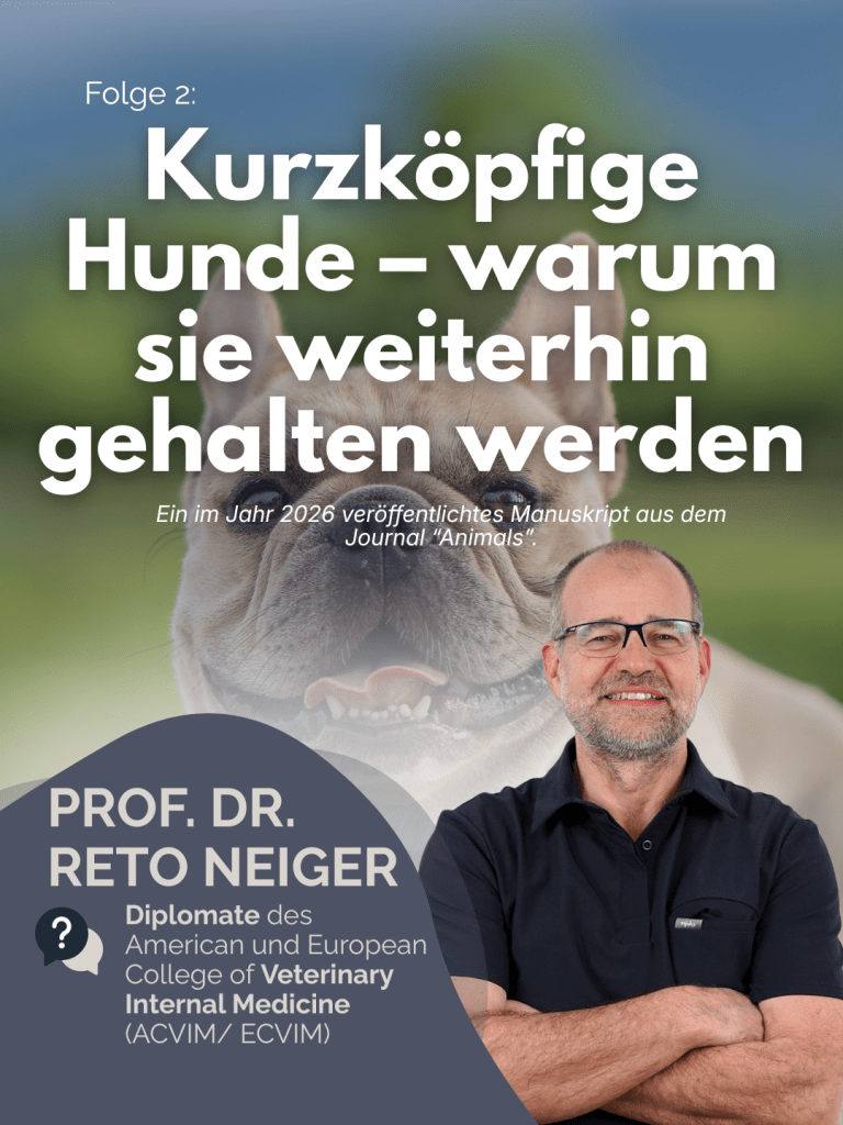 Prof. Dr. Reto Neiger – „Der Professor erklärt" Folge 2: Kurzköpfige Hunde – warum sie weiterhin gehalten werden – Cover