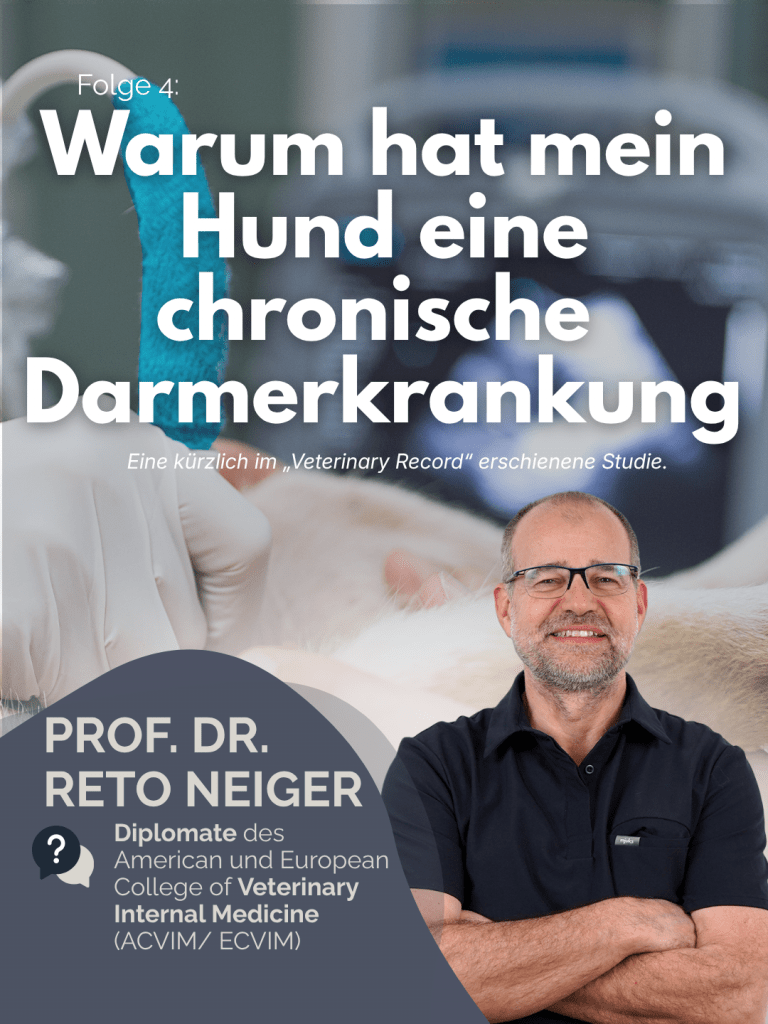 Prof. Dr. Reto Neiger – „Der Professor erklärt" Folge 4: Chronische Darmerkrankung – was ist der Auslöser? – Cover