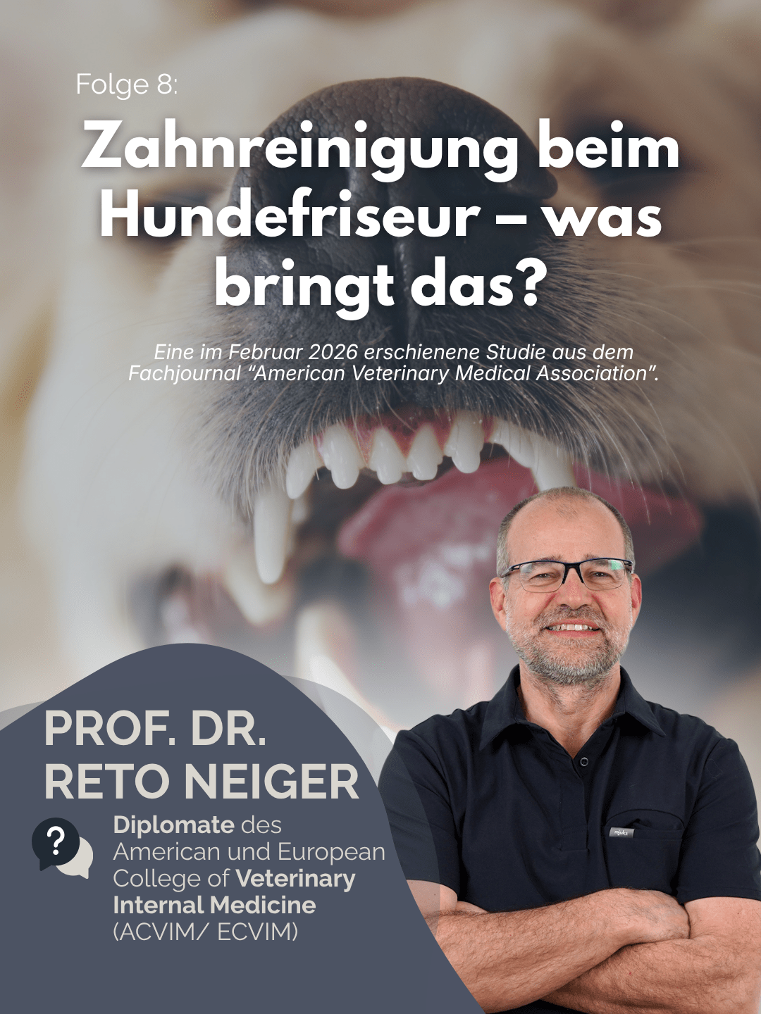 Tierärztezentrum Neuland in Bergheim Moderne Tiermedizin mit Herz Der Professor erklärt – Folge 8: Zahnreinigung ohne Narkose – was bringt das? – mit Prof. Dr. Reto Neiger