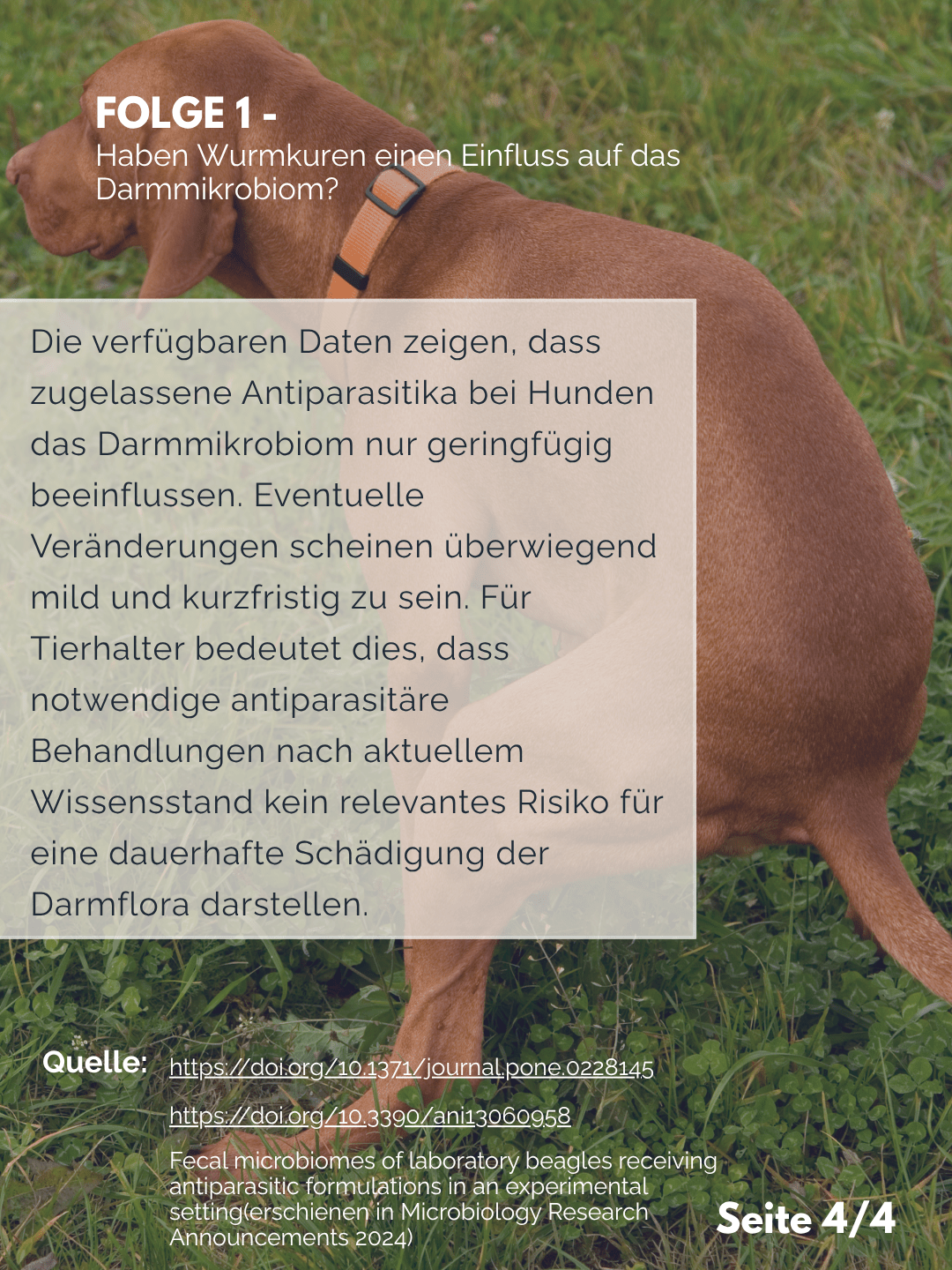 Tierärztezentrum Neuland in Bergheim Moderne Tiermedizin mit Herz Frag den Professor F1 – Wurmkuren und Darmmikrobiom